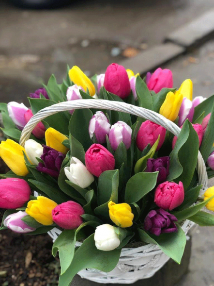 41 тюльпан микс в корзине в Бахчисарае
