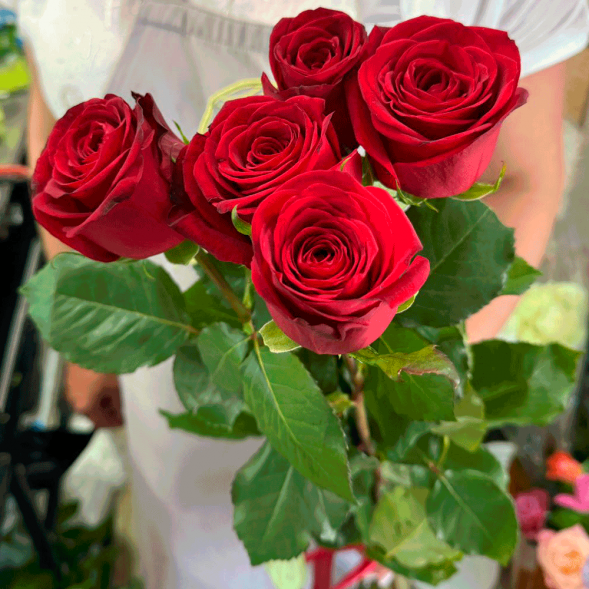5 красных роз в Бахчисарае