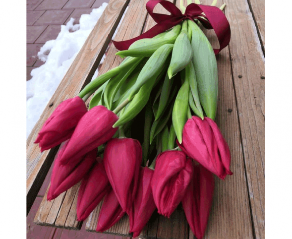 11 красных тюльпанов, лента в Бахчисарае