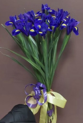 Букет 11 ирисов 